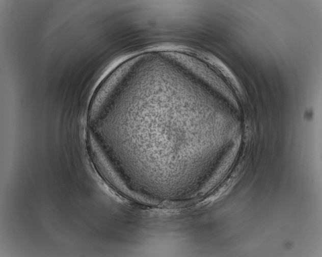 X0000097920860200803281424