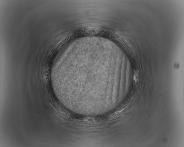 X0000097920867200803281423