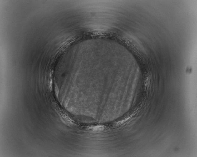 X0000097920868200803281423