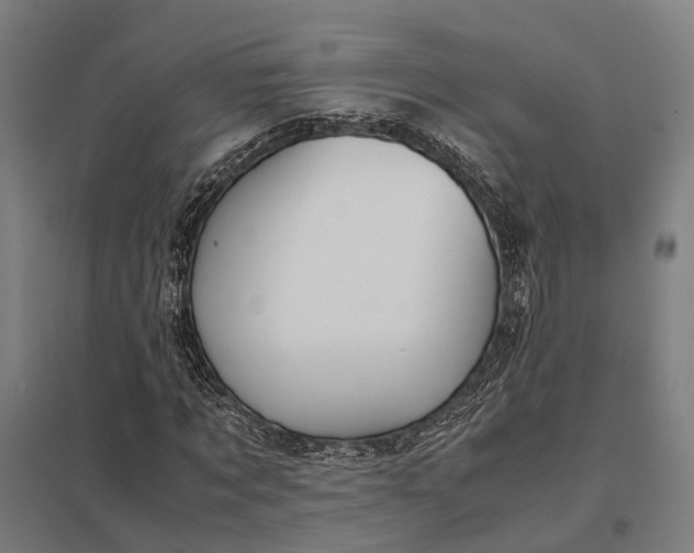 X0000097920869200803281423