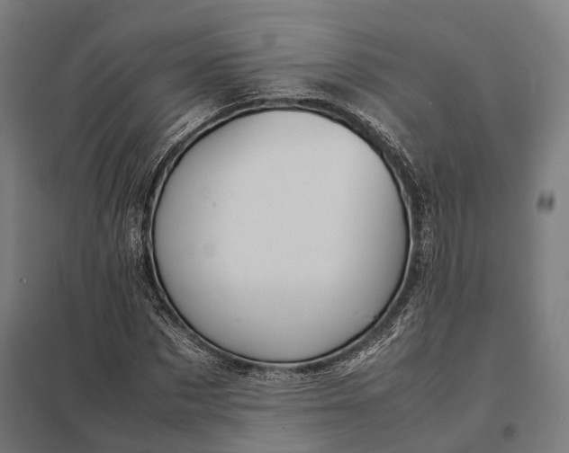 X0000097920873200803281423