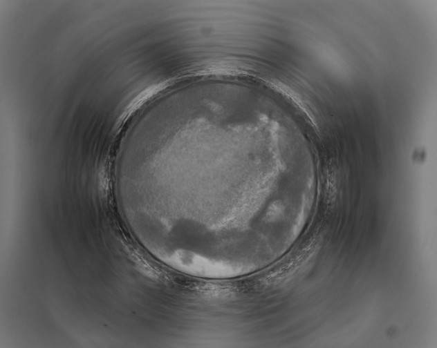 X0000097920874200803281423