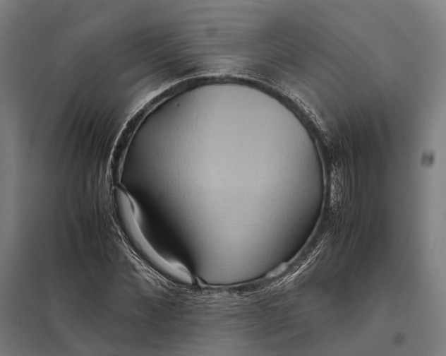 X0000097920876200803281423