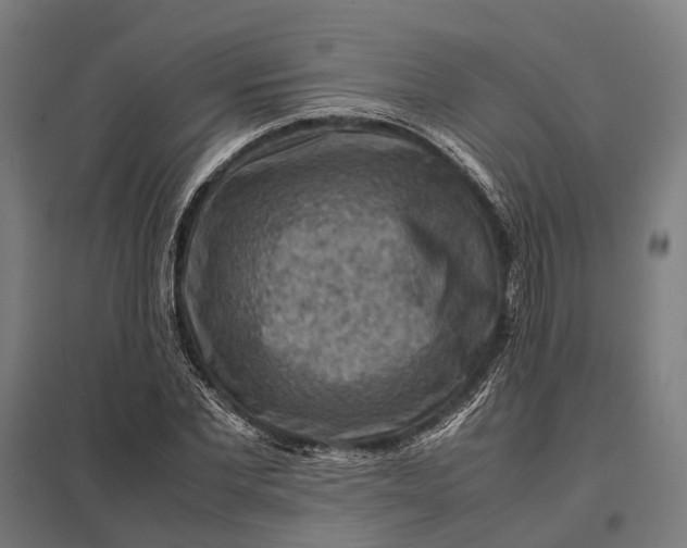 X0000097920877200803281423