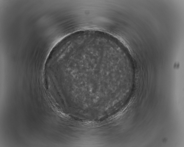 X0000097920879200803281423