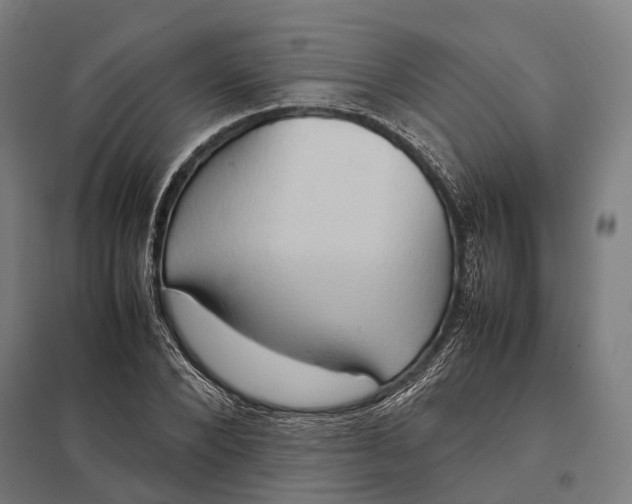 X0000097920880200803281423