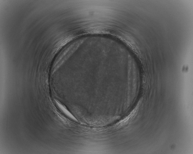 X0000097920881200803281423