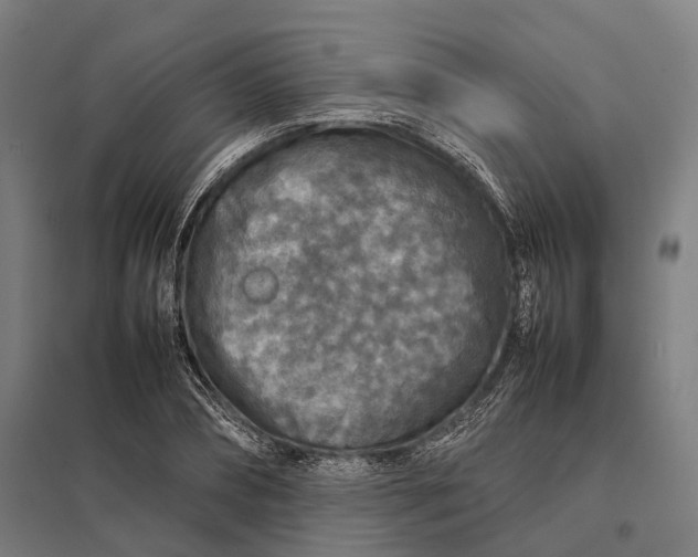 X0000097920882200803281423