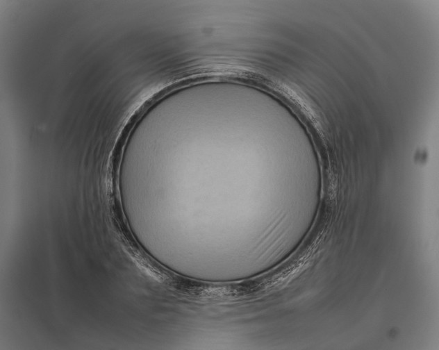 X0000097920883200803281423