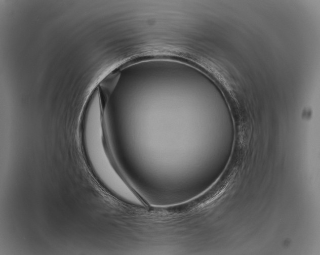 X0000097920885200803281423