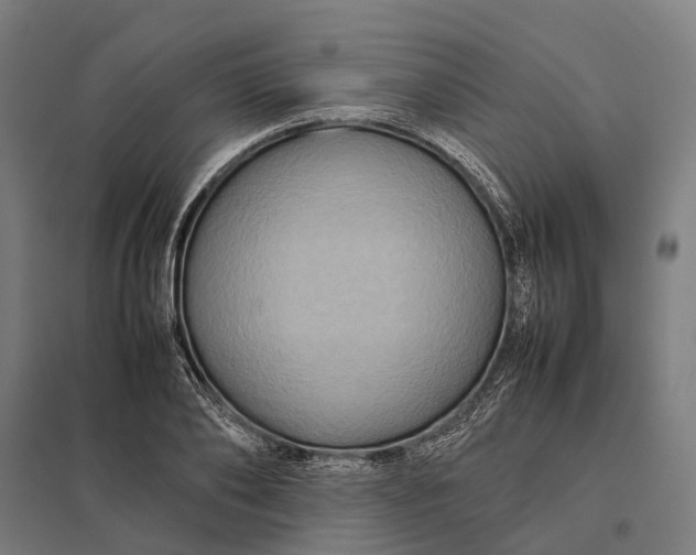 X0000097920886200803281423