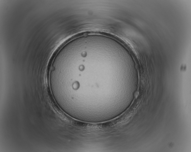 X0000097920887200803281423