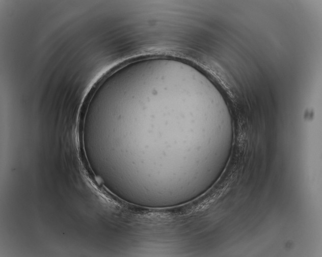 X0000097920888200803281423