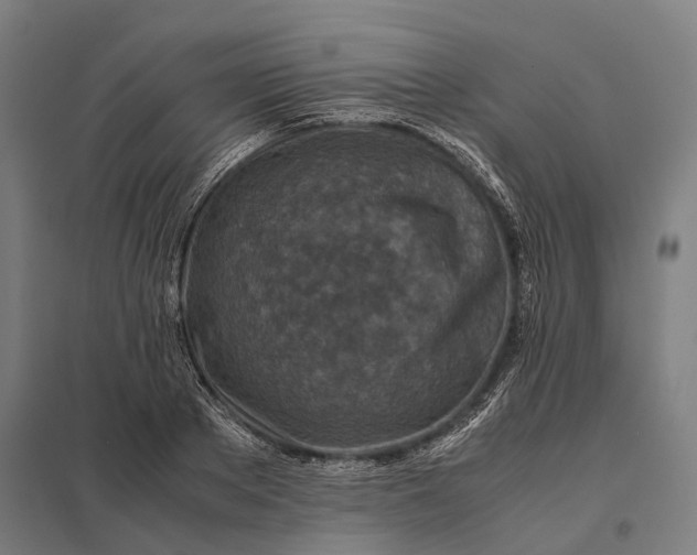 X0000097920889200803281423