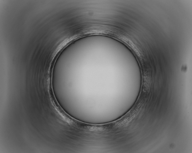 X0000097920890200803281423