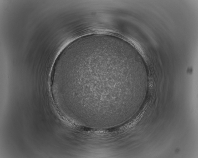 X0000097920891200803281423