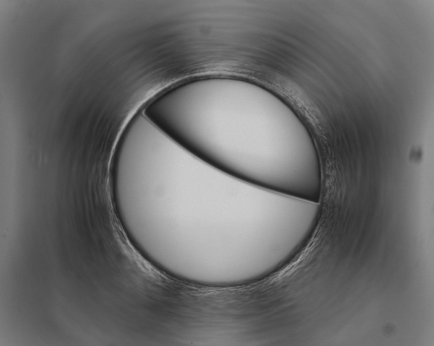 X0000097920892200803281423