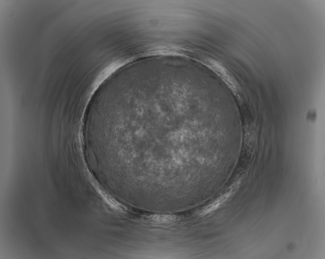 X0000097920893200803281423