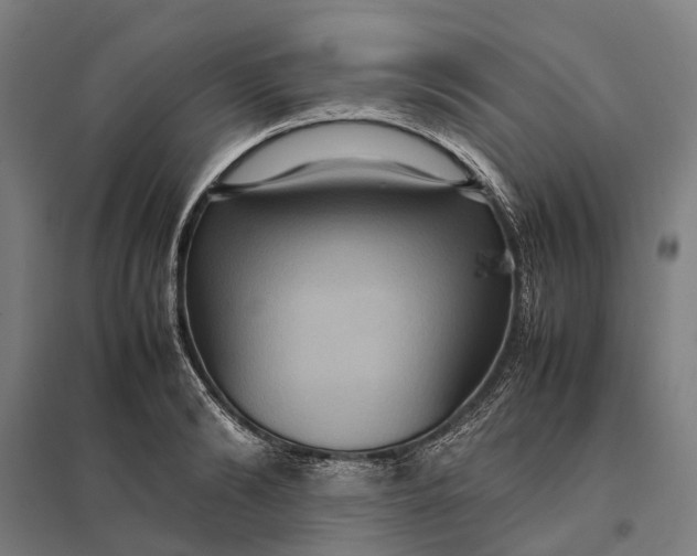 X0000097920894200803281423