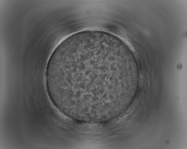 X0000097920895200803281423