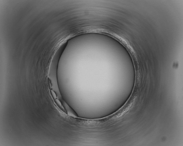 X0000097920897200803281423