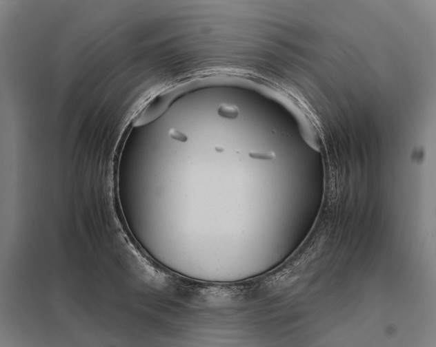 X0000097920898200803281423