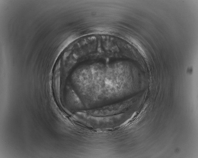 X0000097920899200803281423