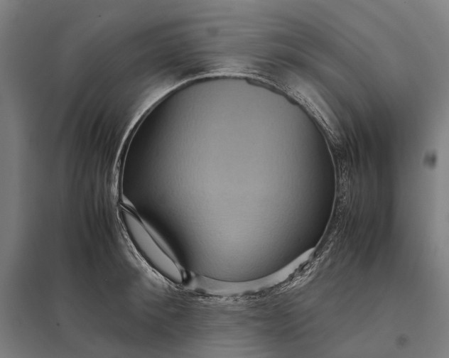 X0000097920900200803281423