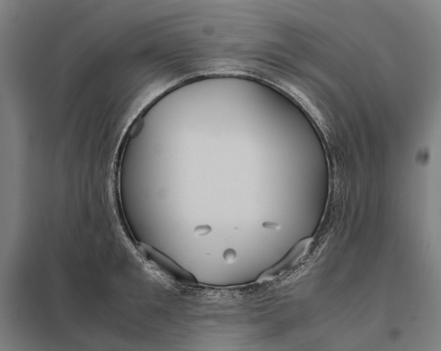 X0000097920901200803281423