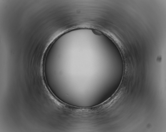 X0000097920902200803281423