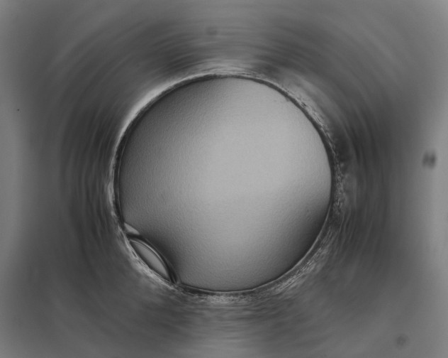 X0000097920904200803281423