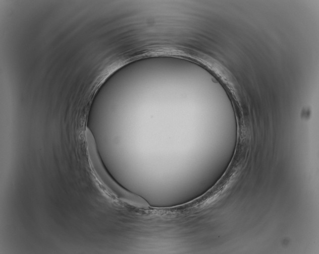 X0000097920905200803281423