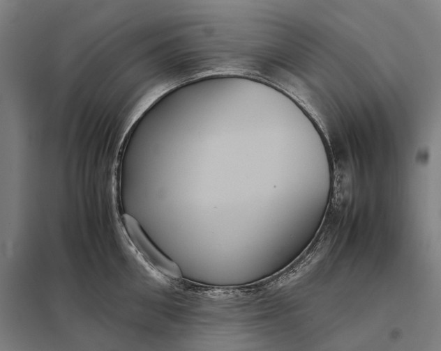 X0000097920906200803281423