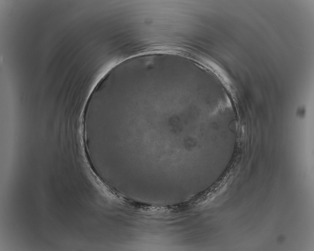 X0000097920907200803281423