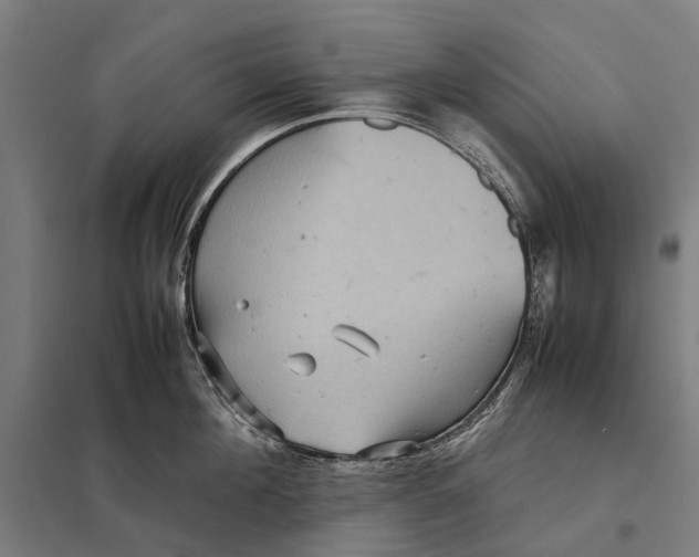 X0000097920908200803281423