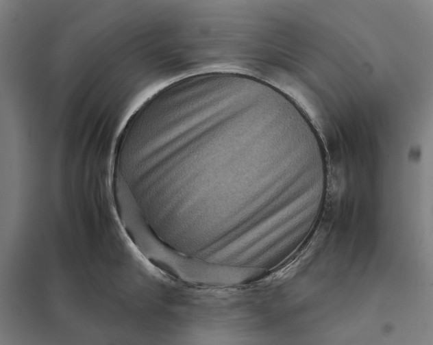 X0000097920910200803281423