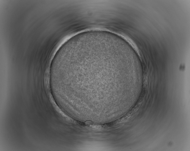 X0000097920911200803281423