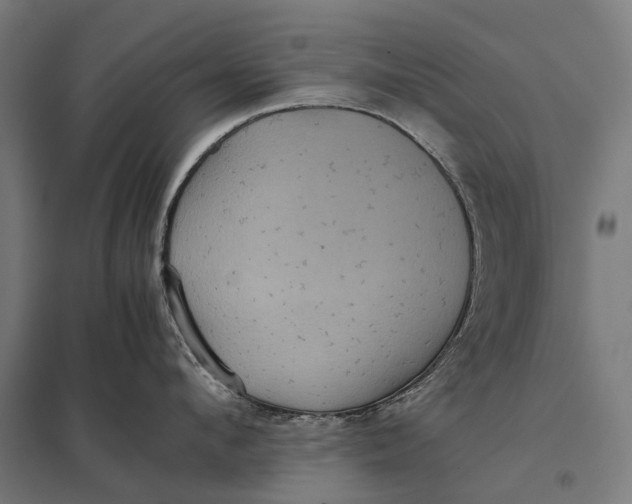 X0000097920912200803281423