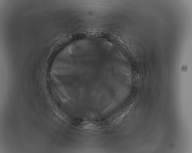 X0000097920913200803281422