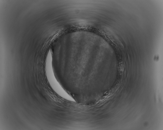 X0000097920916200803281422