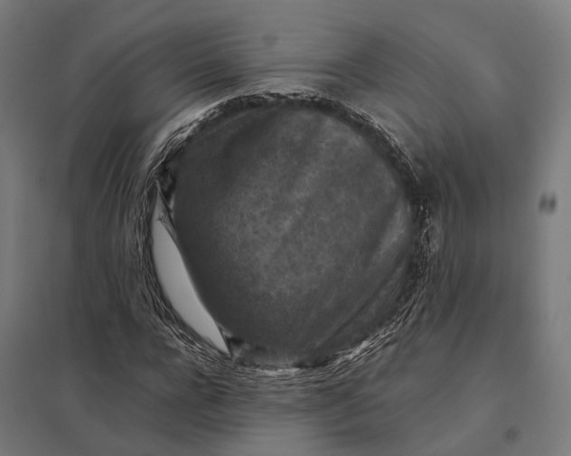 X0000097920920200803281422