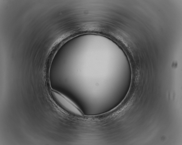 X0000097920922200803281422