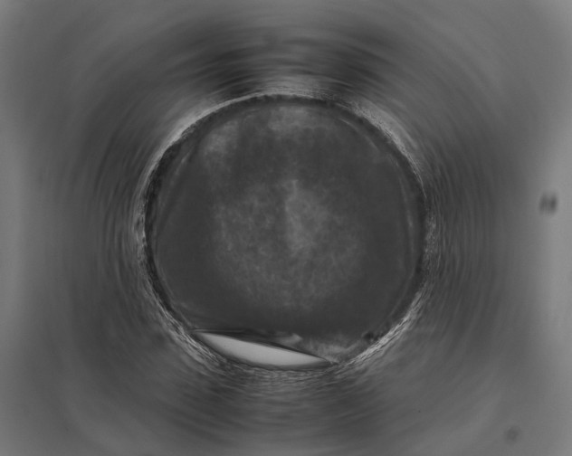 X0000097920923200803281422