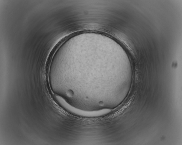 X0000097920924200803281422