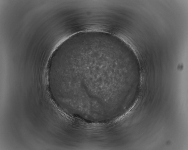 X0000097920925200803281422