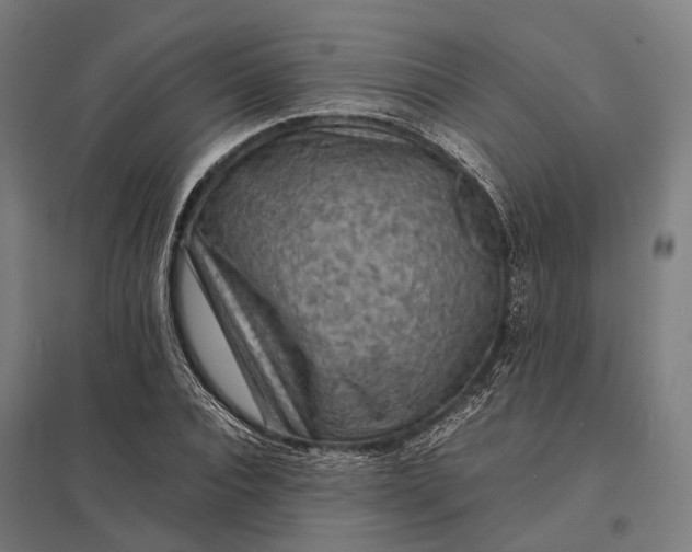 X0000097920928200803281422