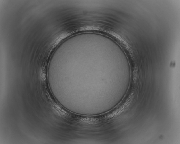 X0000097920929200803281422