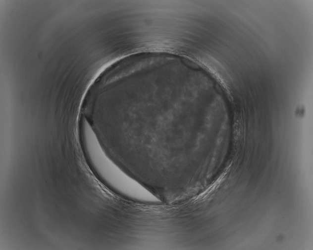 X0000097920932200803281422