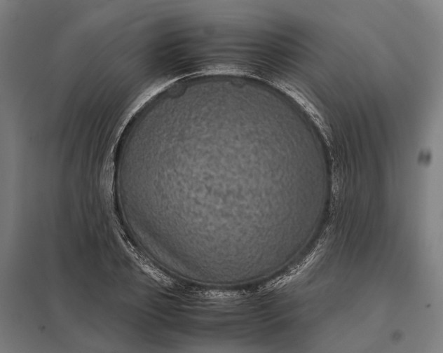 X0000097920933200803281422