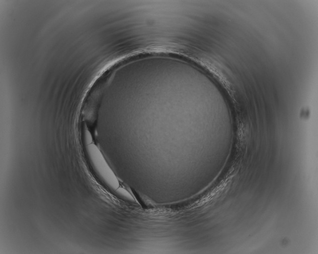 X0000097920934200803281422